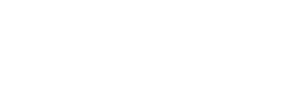 Outer Western Sydney Alliance